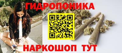 молекула духа Новодвинск