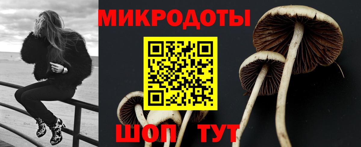 Урюпинск  сколько стоит  Псилоцибиновые грибы GOLDEN TEACHER  Вход с VPN  Псилоцибиновые грибы Cubensis 